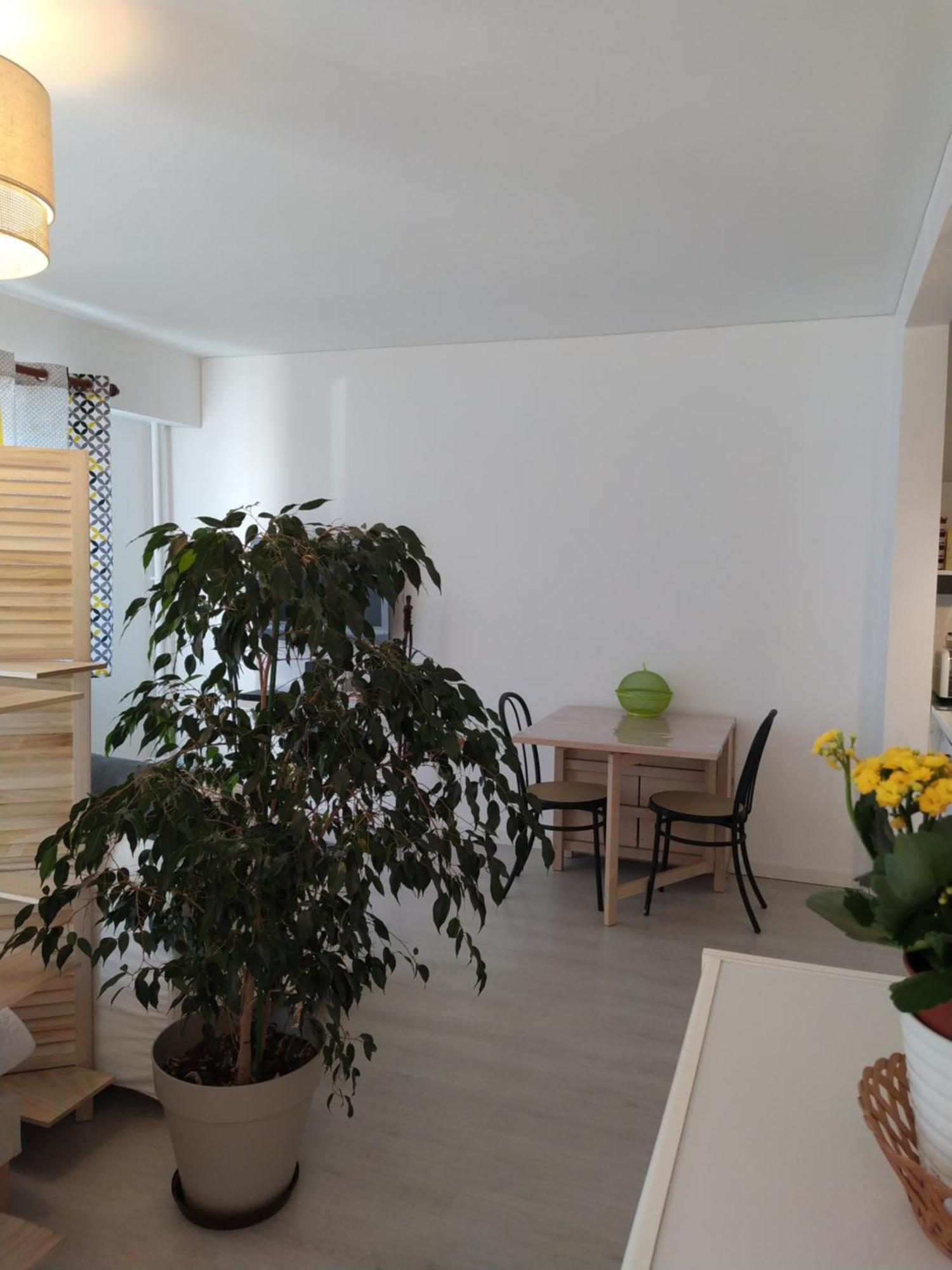 Grand Studio, Super Equipe, 2 Pas Du Centre-Ville "Clos-Du-Boulanger" - Parking Prive モンベリアル エクステリア 写真
